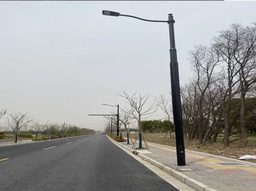 彭阳县上海综合杆 太阳能路灯工程